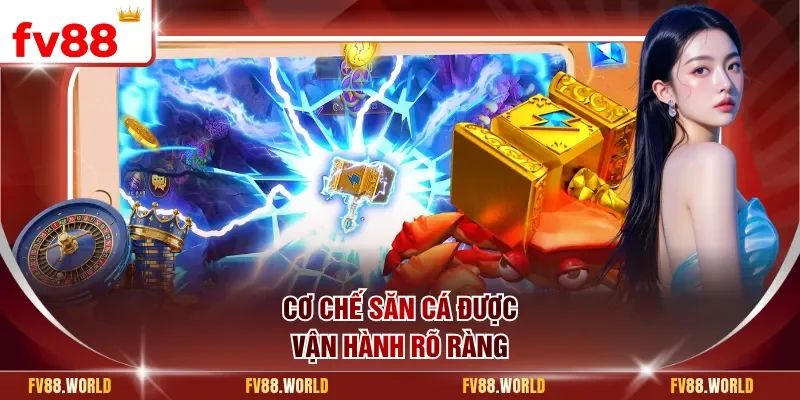 Cơ chế săn cá được vận hành rõ ràng