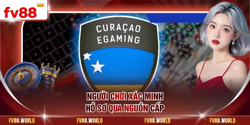 Người chơi xác minh hồ sơ qua nguồn cấp