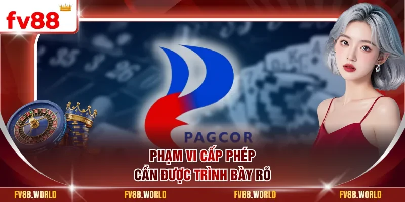 Phạm vi cấp phép cần được trình bày rõ